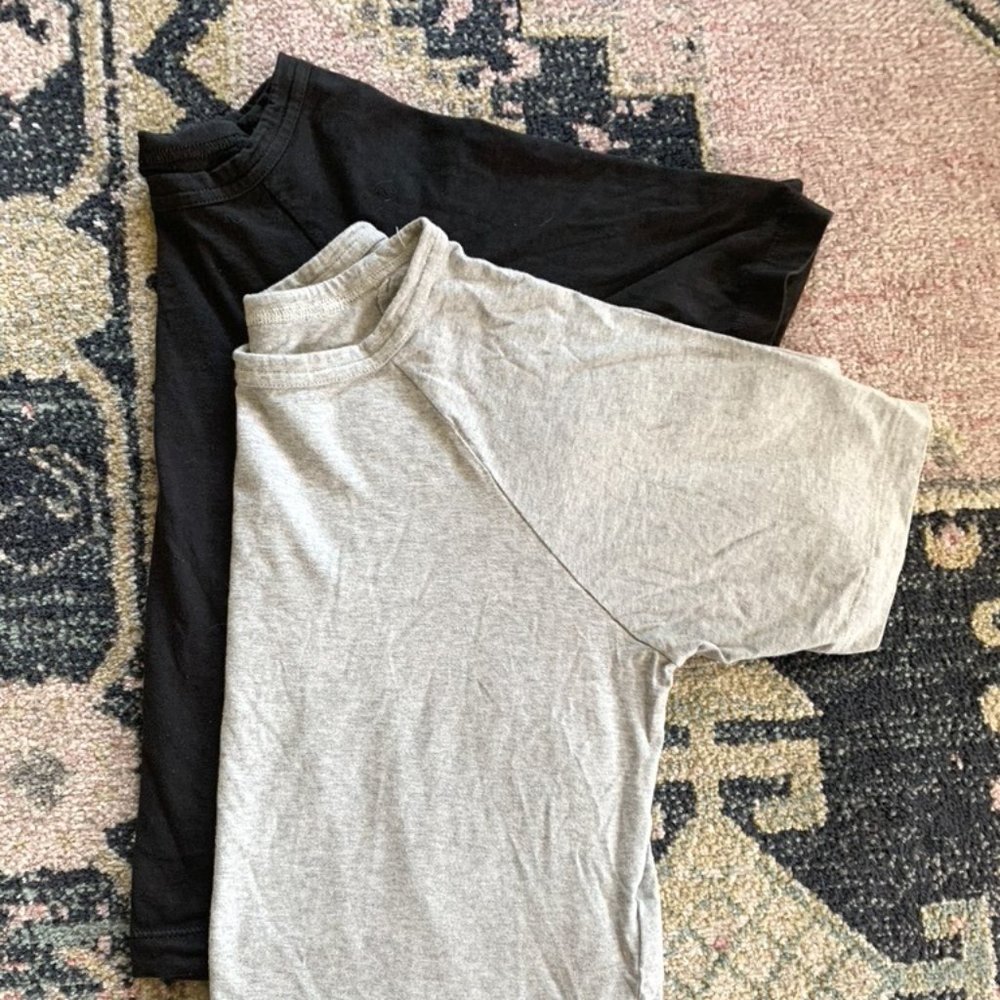 Everlane Organic Cotton Crop Tee Bundle